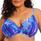 Elomi Swim Maluku Island Plunge Bikini Oberteil Atlantic
