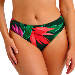 Fantasie Swim Pichola Bikini Hose Mangrove
