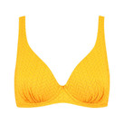 Cyell Bademode Zinnia Plunge Bikini Oberteil