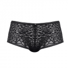 Soiree Lace Shorts