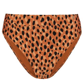 Leopard Spots High Waist Bikini Hose