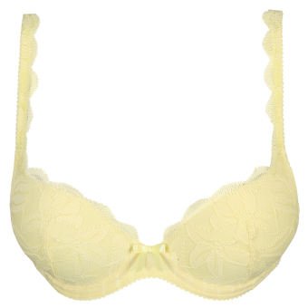 Ani Push-up BH