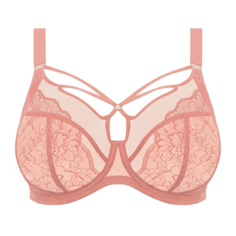 Brianna Plunge BH