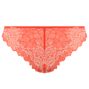 Lace Perfection String