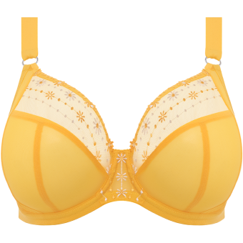 Matilda Plunge BH