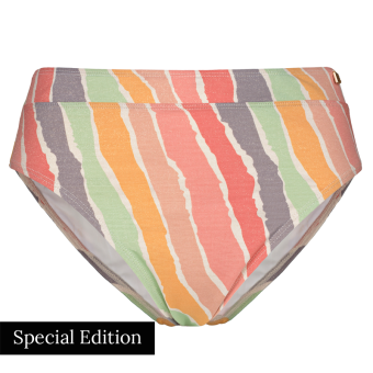 Rainbow High Waist Bikini Hose