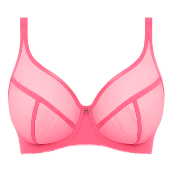 Snapshot Plunge BH