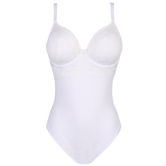 Sophora Body