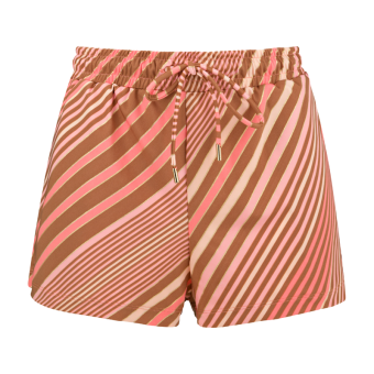 Stripe Lurex Shorts