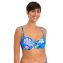 Freya Swim Hot Tropics Padded Bikinitop Blue