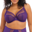 Elomi Dessous Matilda Plunge BH Iris