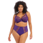 Elomi Dessous Matilda Plunge BH Iris