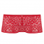 Freya Soiree Lace Short Rouge