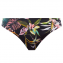 Freya Swim Tahiti Nights Bikinibroekje Black